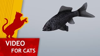 Cat Games - Catching Black Goldfish (Video for Cats to watch) by CAT GAMES 8,867 views 6 months ago 59 minutes