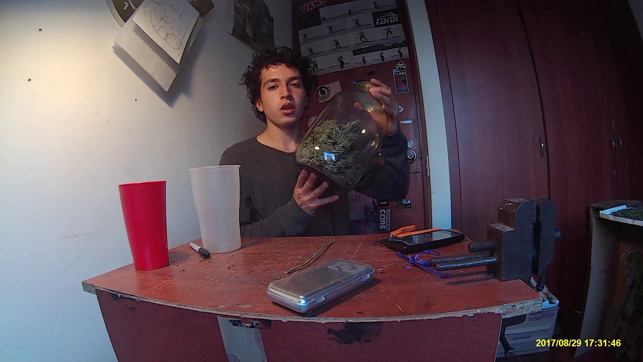 ¡PESO EN SECO DE PODA APICAL Y LST!!