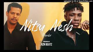 Geremew Asefa - Nitsu Nesh - Afrobeat Remix Prod. Rzn Beatz