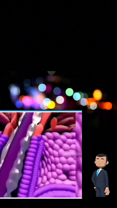 awal kemunculan jerawat bagai mana? ayok kita cari tau! #1000subscriber #jerawat #3danimation