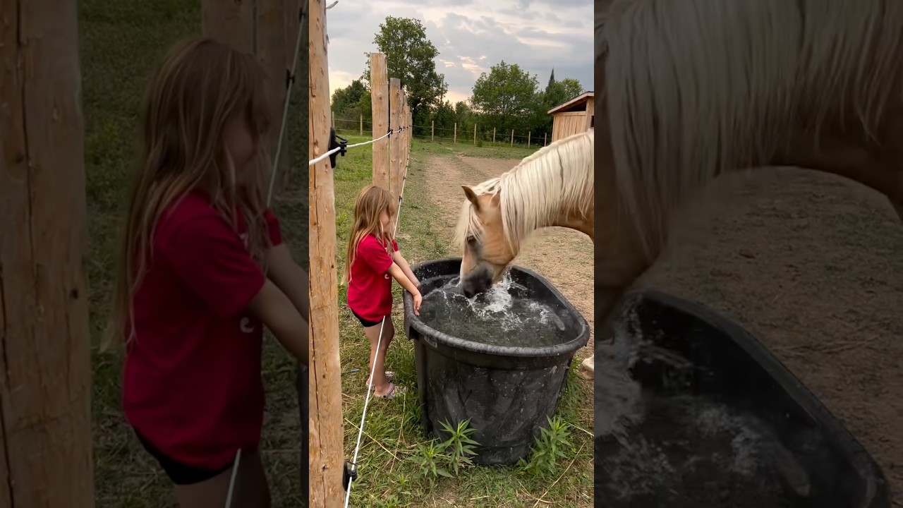 The affection between the horse and the child！#KidAndHorse #HorseTok #WholesomePets #Heartwarming