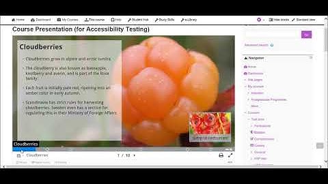 H5P Course Presentation Accessibility - Internet Explorer with NVDA Screen Reader