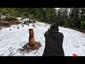 Shooting in the Snow