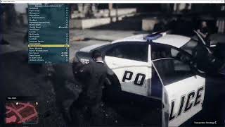 Kiddions Modest menu-Gta 5 mod menu screenshot 2