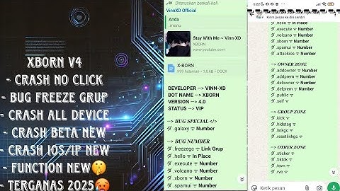 SCRIPT BOT BUG WA XBORN V4