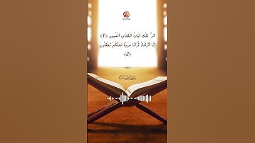 Toufik Alnouri - Surat Yusuf - سورة يوسف تلاوة القارئ توفيق النوري #reels #short #quran#suratyusuf