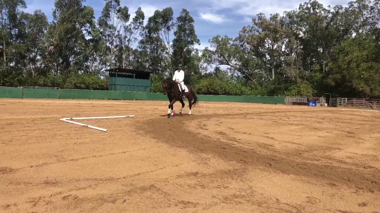 Annette Wenzler First Level Test 1