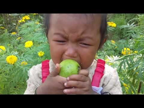 funny-babies-trying-new-foods.