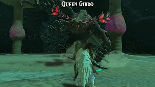 Queen Gibdo Rematch in The Depths - Zelda Tears of the Kingdom