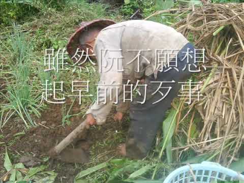 台灣在野之歌   思念故鄉的姑娘  aho0501老歌翻唱