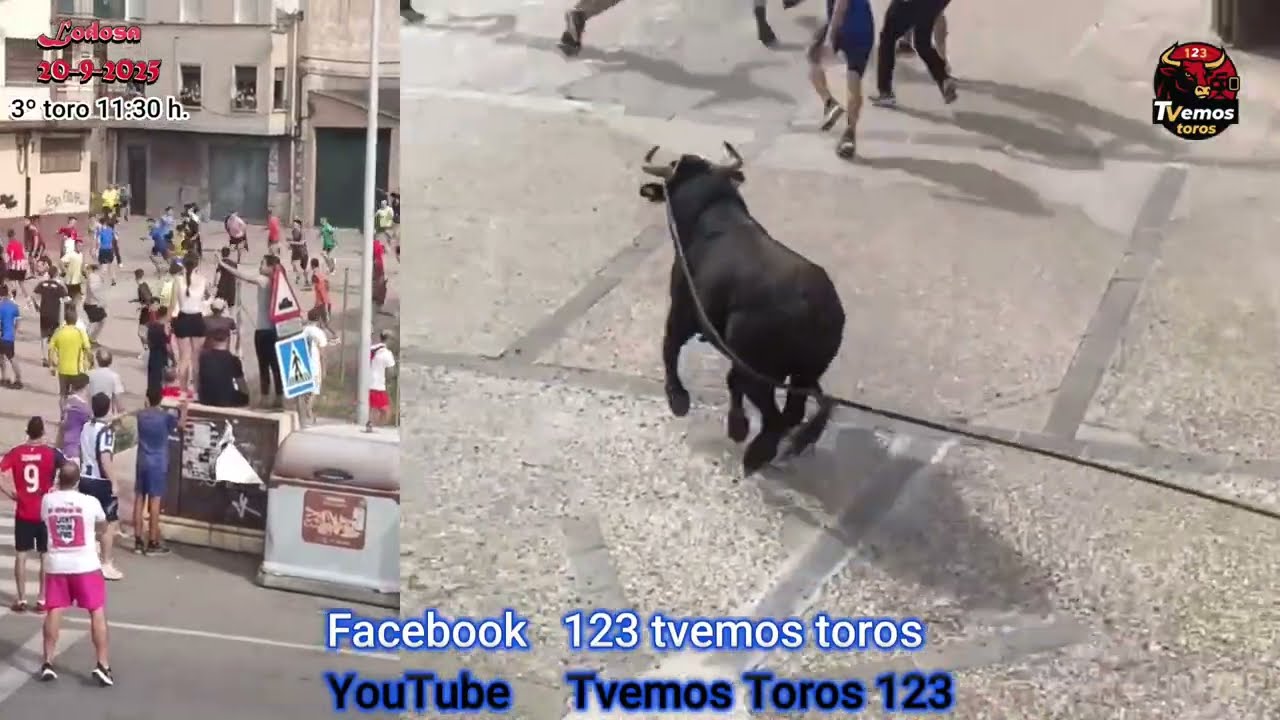 2025 TORO CON SOGA LODOSA sábado día 20 de septiembre a las 11.30 h.  varias cogidas de tractorista