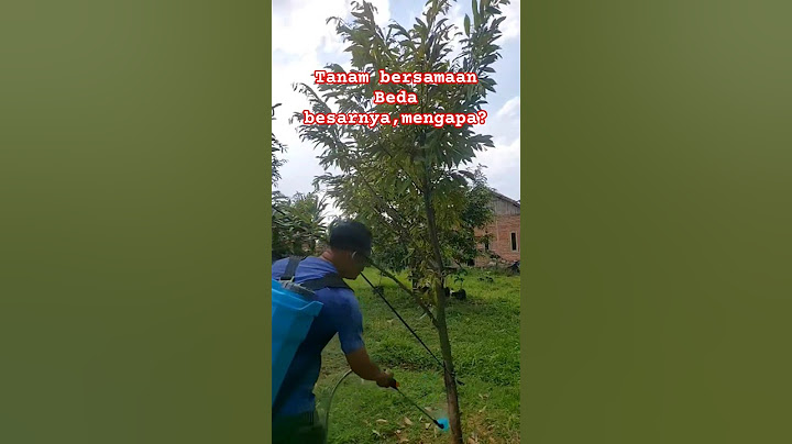 faktor penyebab tanaman lambat pertumbuhannya karena terhalang pohon besar #satisfying #easyfarming