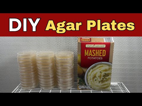 Agar Agar Flakes