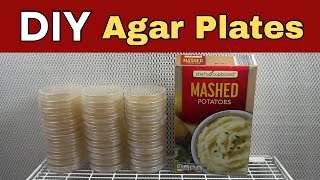 How to Make Agar Plates with Potato Flakes
