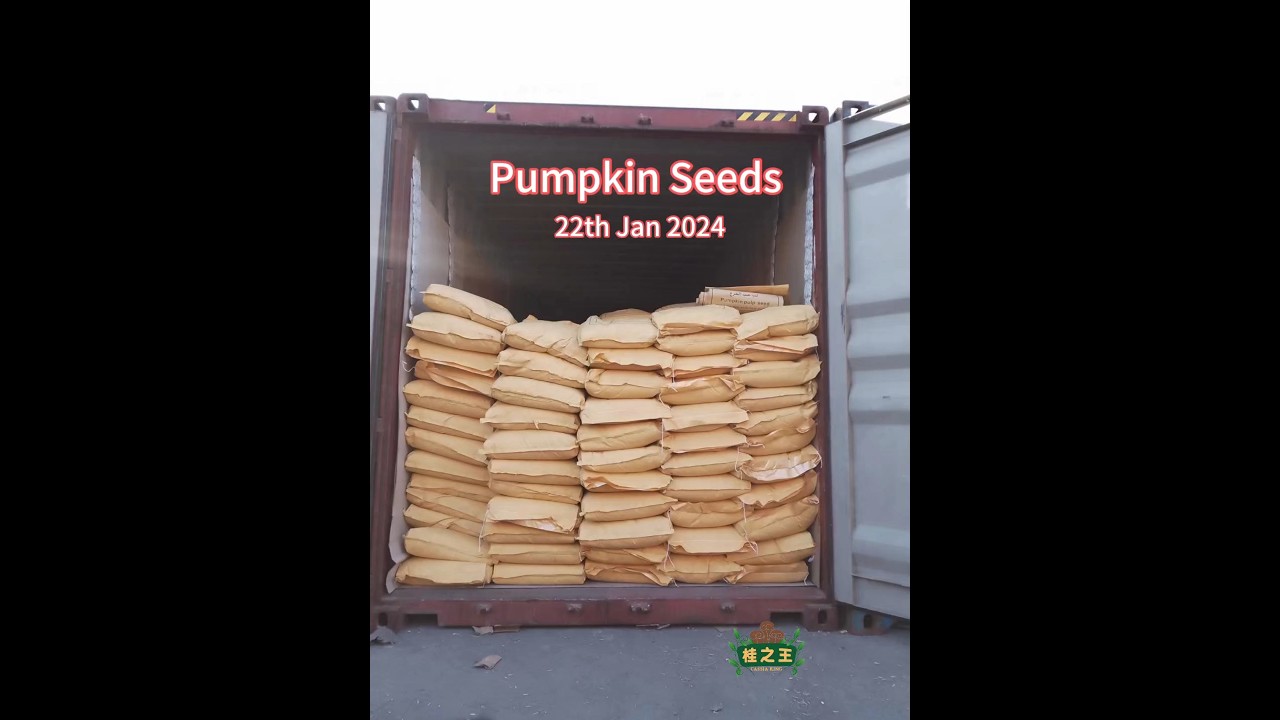 Vibrator bilan jinsiy aloqa Maftunkor qogirchoqni aylanib otishdi