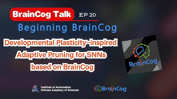 BrainCog 20. Developmental Plasticity-inspired Adaptive Pruning for SNNs based on BrainCog