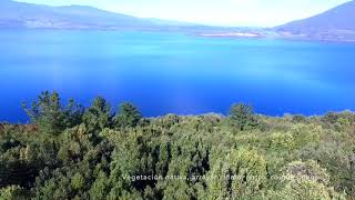 Lago Riñihue - Terreno