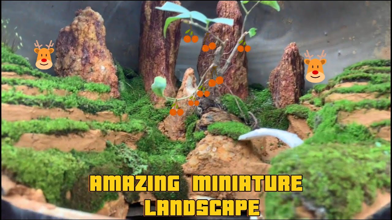 A relaxing day off at home