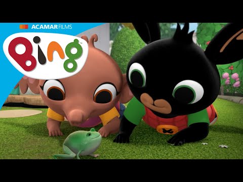 Bing älskar djur! | 14-minut+ | Klipp Kompilering | Bing Svenska