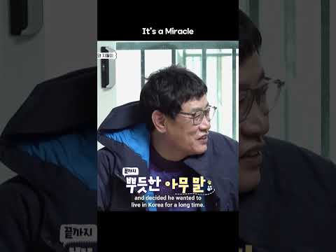 All I can <strong>say</strong> is that it&amp;#39;s a <strong>miracle</strong>. #DogsAreIncredible #Shorts | KBS WORLD TV 230314
