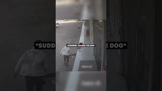 This Dog Trusted Its Instincts…