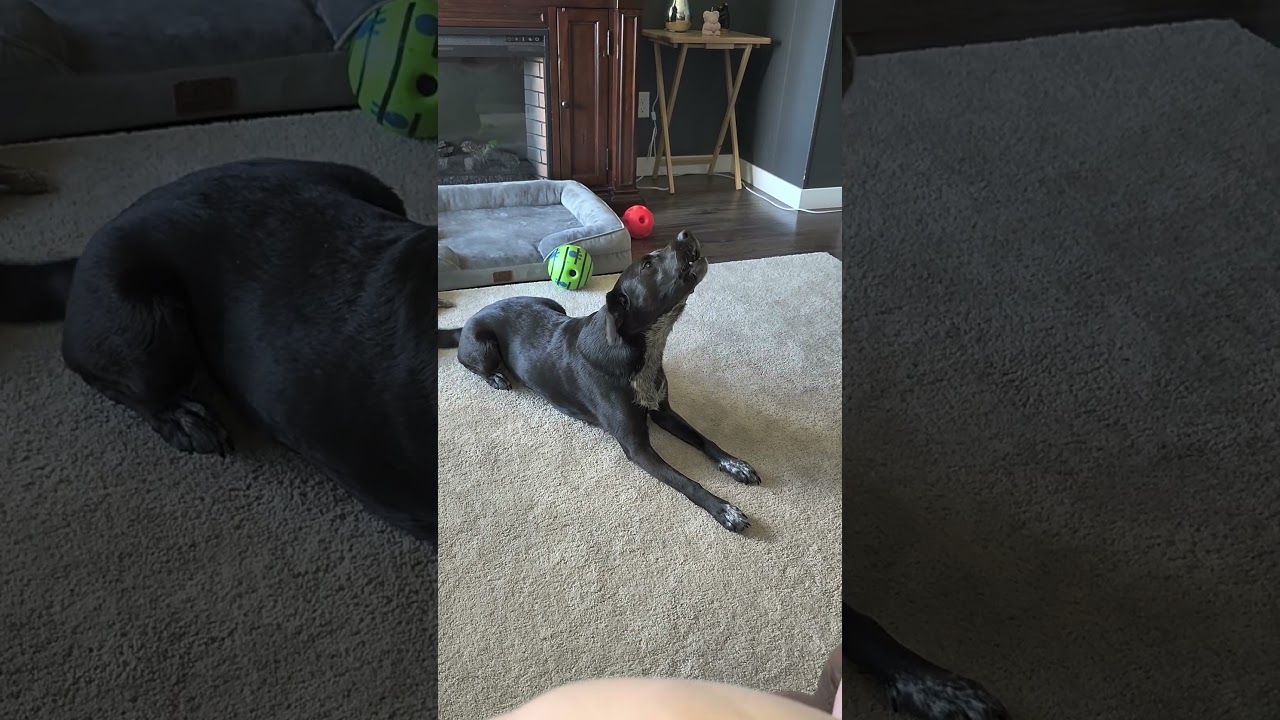 June Has A Message For You ❤️