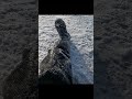 Хоть и сложно но всё ровно хочется на рыбалку