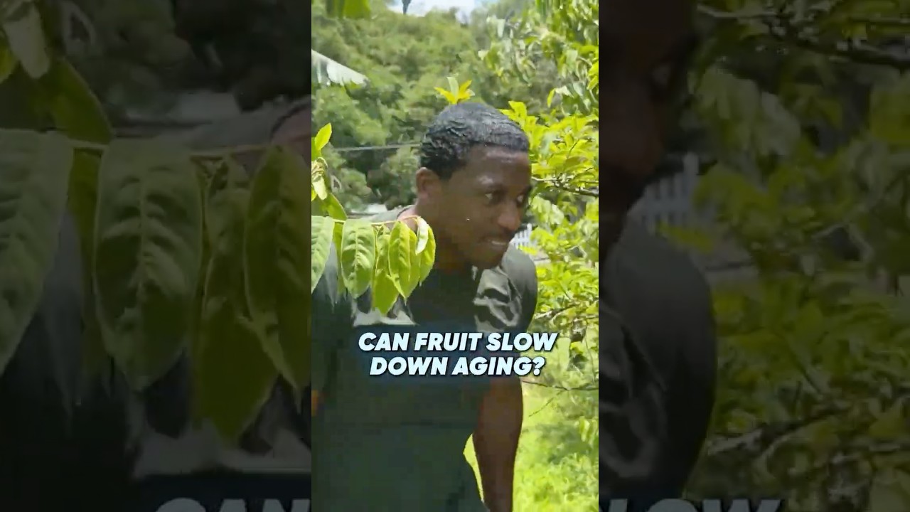 Can Fruit Slow Down Aging?