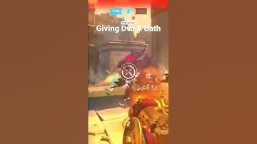 Dva Taking A Well Deserved Bath 🛀 #shorts