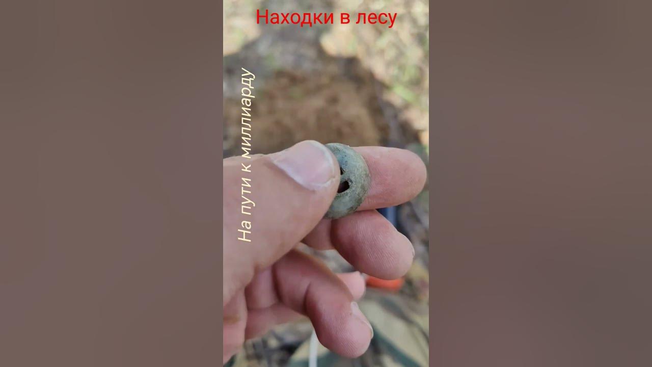 конина как пуговица #металлоискатель #находки #поисксметаллоискателем # ...