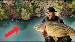 So KRASS habe ich noch nie im HOLZ geangelt ⚠️ | HOOK & HOLD Extreme 🤯