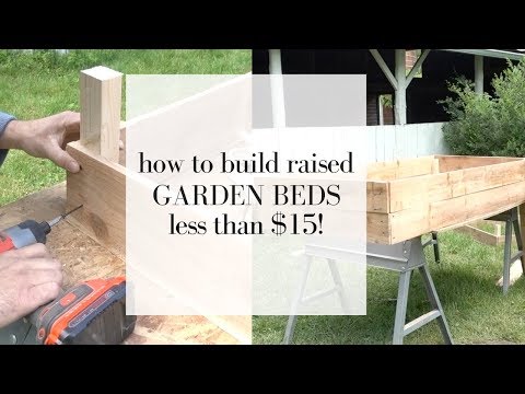 how-to-build-cedar-raised-beds-|-gardening-for-beginners