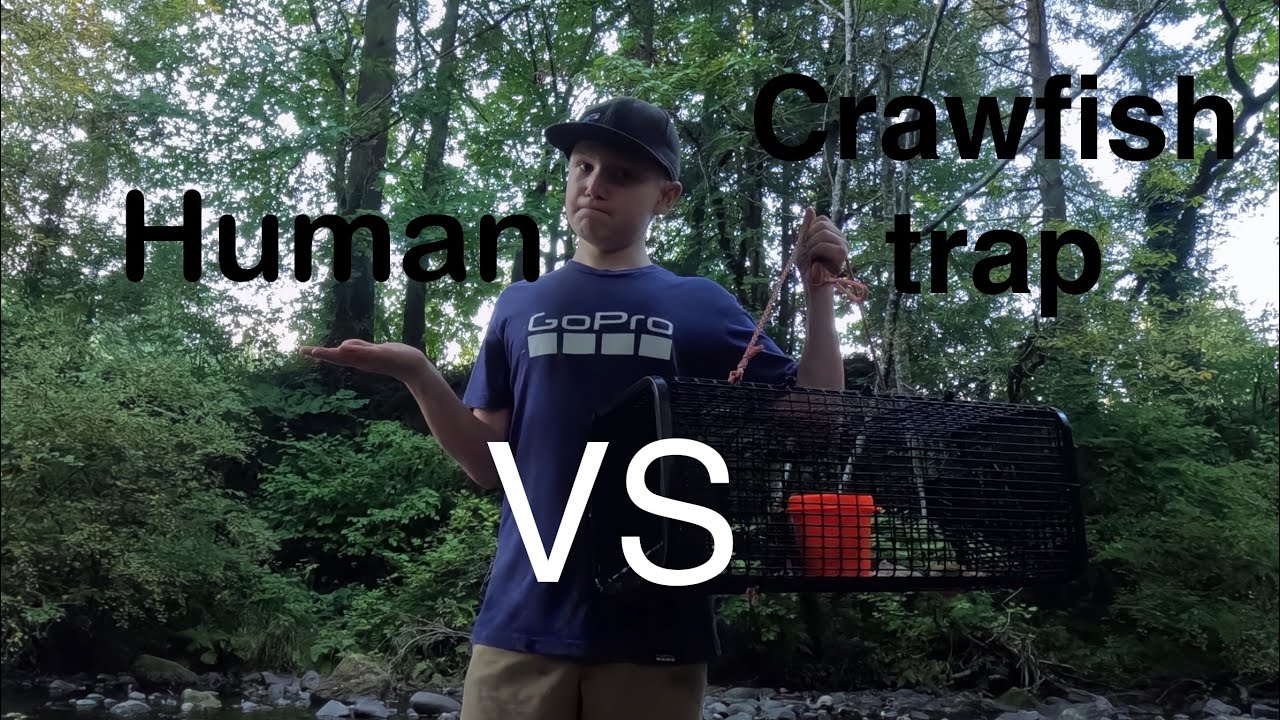 Human Crawl Gopro I Put a GoPro in a Crawfish Trap #5 (Human VS Crawfish trap Ultimate ...