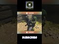 COD WARZONE KILL EXECUTION #shortvideo #shortsfeed #shortsviral #shorts #short #codm #callofduty