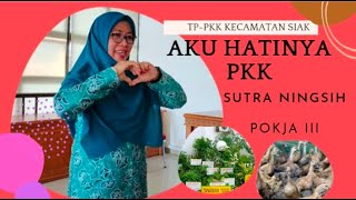 Lomba Penyuluhan Pokja III oleh ibu Sutra Kec.Siak #pkk #riau #lomba #penyuluhan #siaksriindrapura