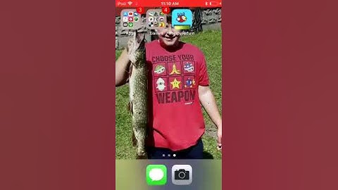 How to get flappy bird back