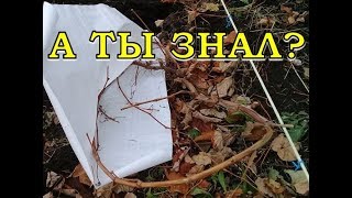 Как правильно укрыть ВИНОГРАД на зиму? Как правильно укрыть ВИНОГРАД на зиму?
