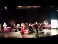 Israel Chamber Orchestra התזמורת הקאמרית הישראלית