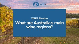 WSET Bitesize - What are Australia's main wine regions?