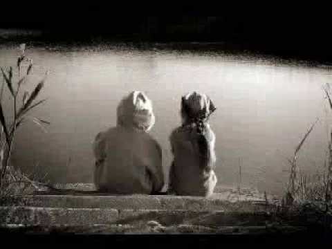 اسلام زكى قولت ايه 