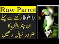 Raw parrots in Pakistan and India - Watch this before adopting a parrot
