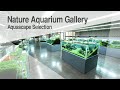 [ADAview] Nature Aquarium Gallery Aquascape Selection ネイチャーアクアリウムギャラリー 水景セレクション