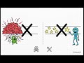 Students lecture series computer aided drug design 02- Drug target identification protocol 