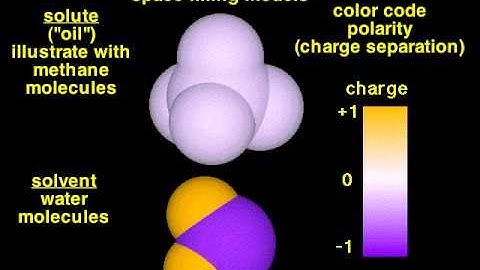 Oil & Water (Phase Separation)