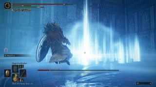 Elden Ring - Rellana, Twin Moon Knight - Shadow of the Erdtree DLC - Rapier+Shield