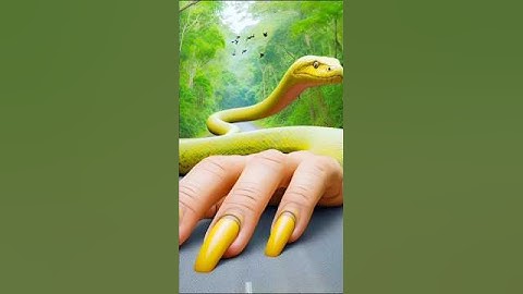 #shorts #shortvideo #trending #snakes #saap #owl #snakevideo #python #anaconda #saamp #wow #snake