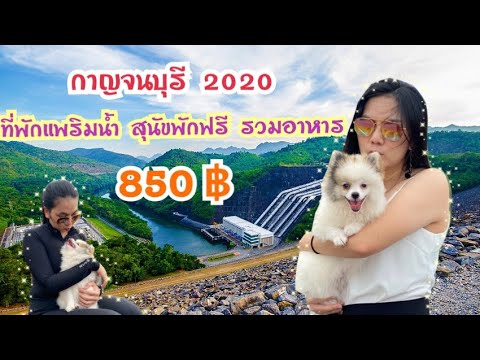 #เที่ยวกับหมา กาญจนบุรี 2020 แพรริมน้ำ สุนัขพักฟรี รวมอาหาร 2 มื้อ 850 ฿เกินคุ้มจิงๆ
