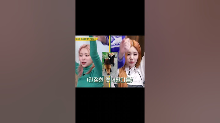 [ITZY] 이고 내가 빨랐짜낭 #채령 #있지 #할명수