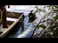 Divers complete work on the Duke Farms lake recirculation project.