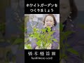 ホワイトガーデンにおすすめの植物! #shorts